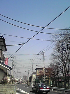 090318_1231~02.JPG