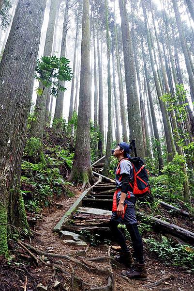 加里山行程 加里山苗栗小百岳單攻 登山懶人包一次看