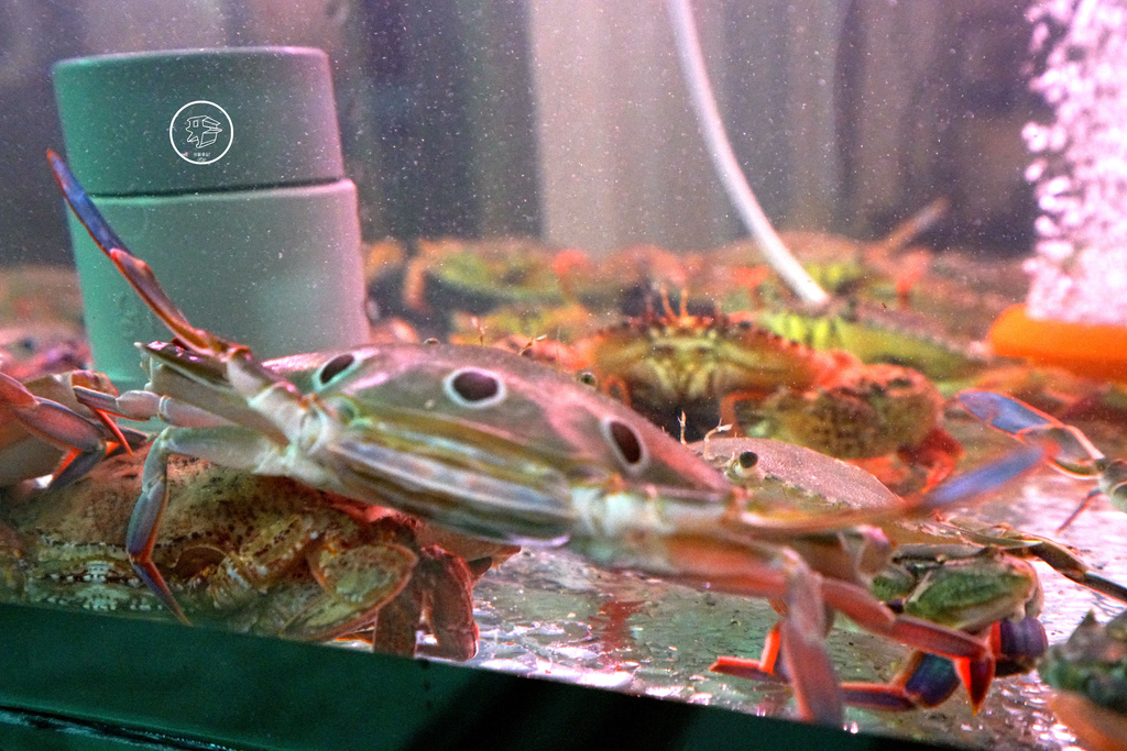 DSC00399_副本.jpg DSC00399_副本.jpg