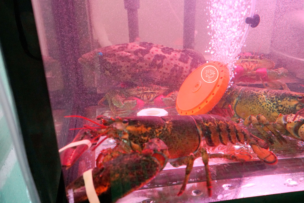 DSC00400_副本.jpg DSC00400_副本.jpg