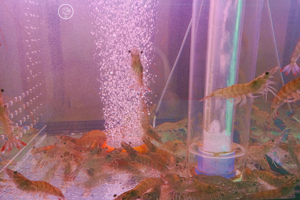 DSC00407_副本.jpg DSC00407_副本.jpg