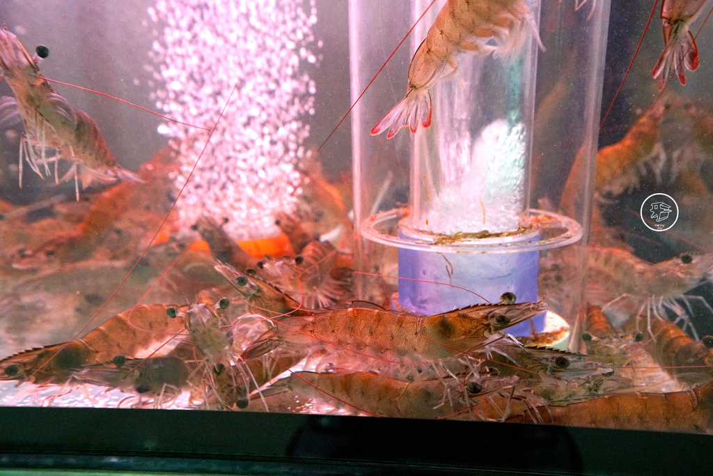 DSC00408_副本.jpg DSC00408_副本.jpg