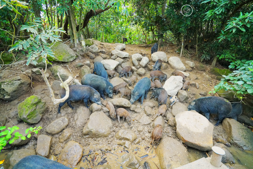 DSC01044_副本.jpg DSC01044_副本.jpg