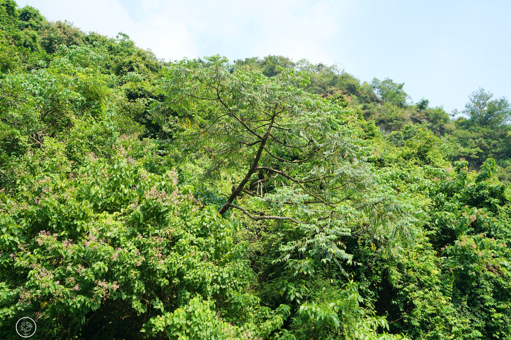 DSC01064_副本.jpg DSC01064_副本.jpg