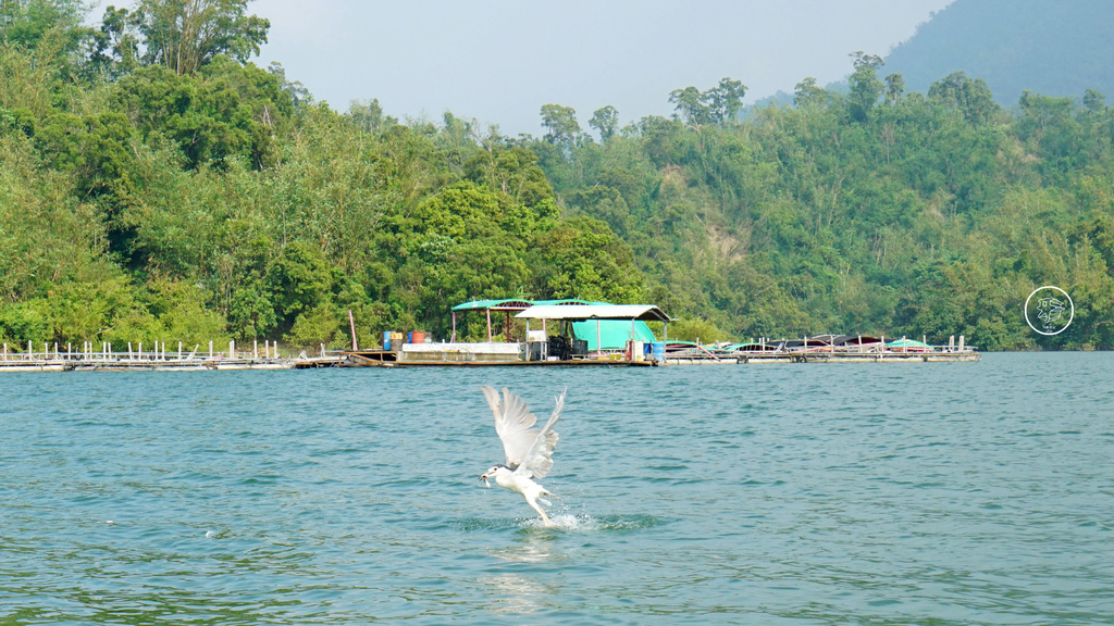 DSC01101_副本_副本.jpg DSC01101_副本_副本.jpg