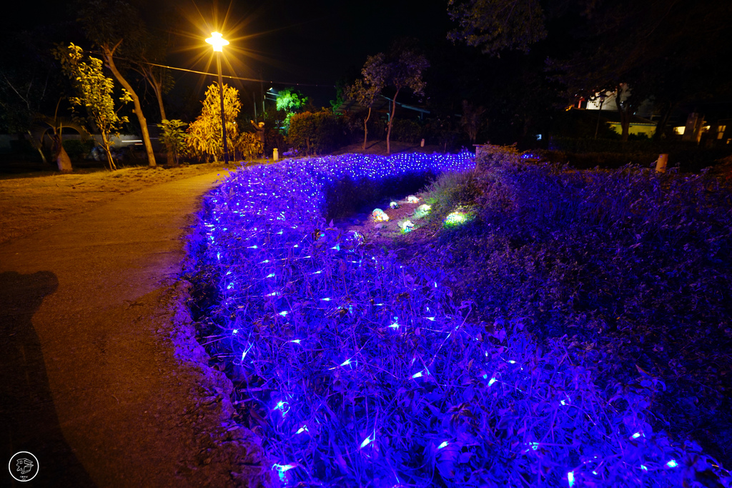 DSC02904_副本.jpg DSC02904_副本.jpg