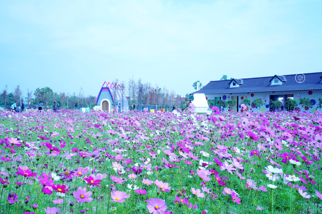 DSC03710_副本.jpg DSC03710_副本.jpg