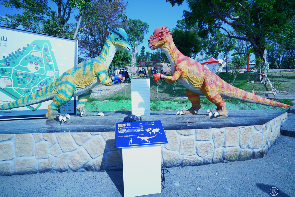 DSC03905_副本.jpg DSC03905_副本.jpg