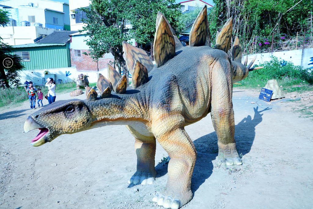 DSC03921_副本.jpg DSC03921_副本.jpg