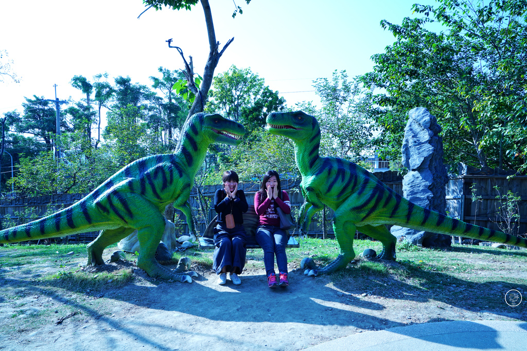 DSC03936_副本.jpg DSC03936_副本.jpg