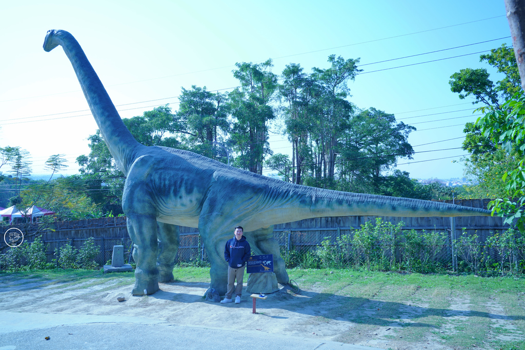DSC03942_副本.jpg DSC03942_副本.jpg