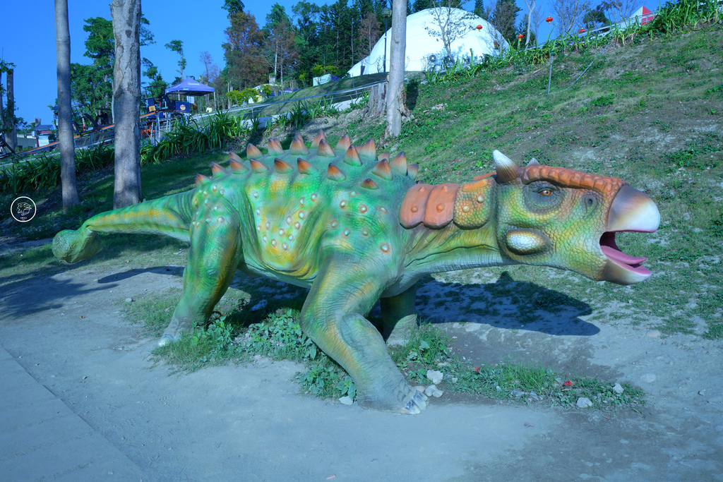 DSC03960_副本.jpg DSC03960_副本.jpg