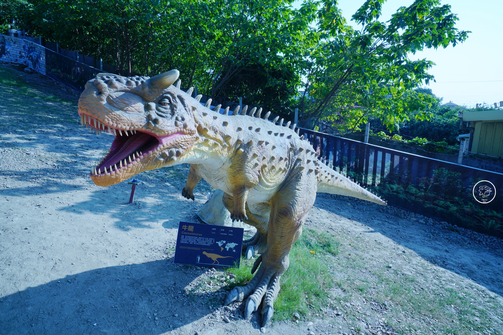DSC03969_副本.jpg DSC03969_副本.jpg