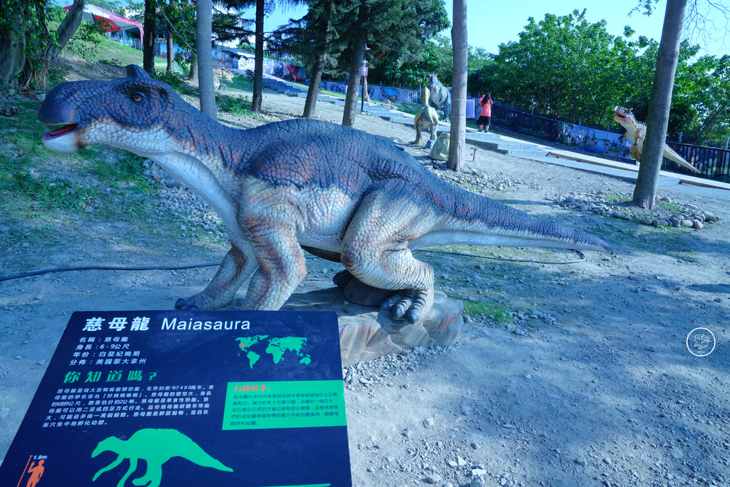 DSC03976_副本.jpg DSC03976_副本.jpg