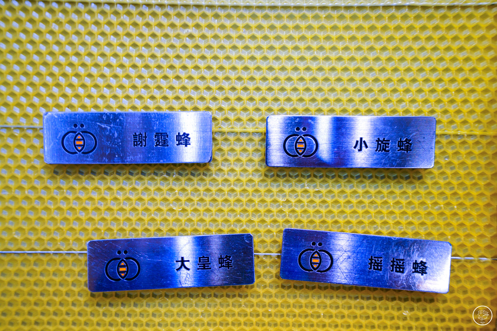 DSC05394_副本.jpg DSC05394_副本.jpg