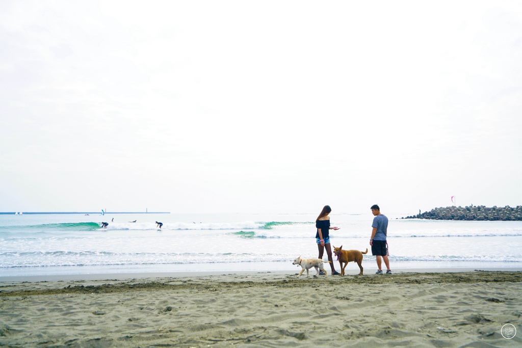 DSC06503_副本.jpg DSC06503_副本.jpg