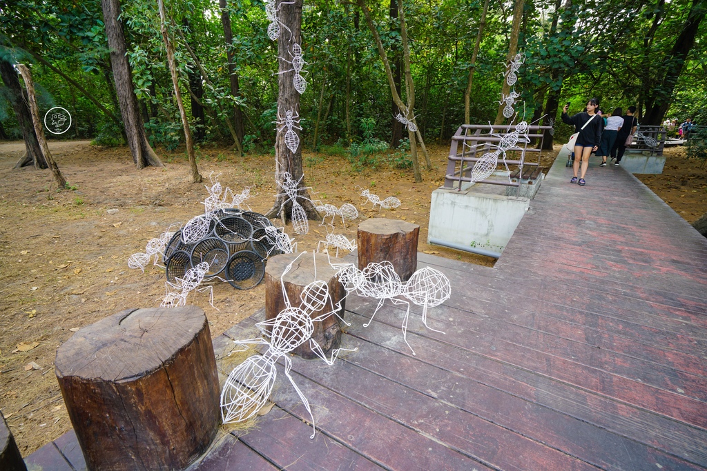 DSC06487_副本.jpg DSC06487_副本.jpg