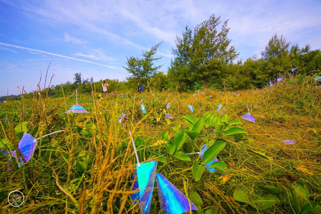DSC06587_副本.jpg DSC06587_副本.jpg
