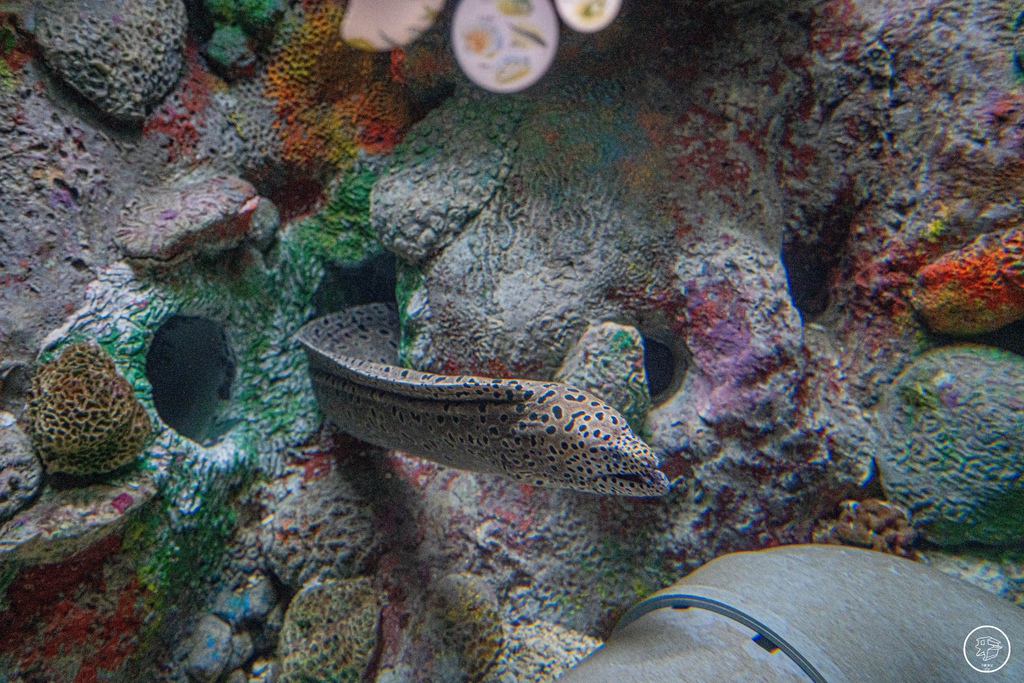 DSC03382.jpg DSC03382.jpg