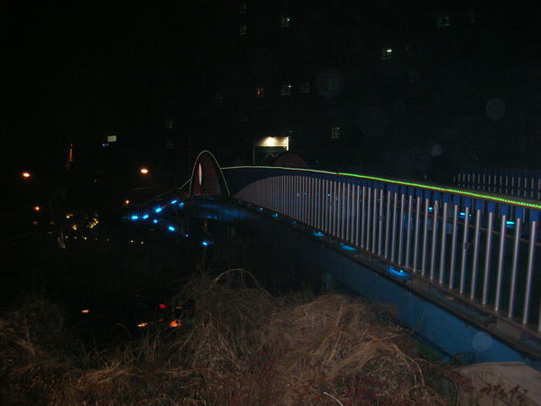 飯店後方通往漢江的天橋