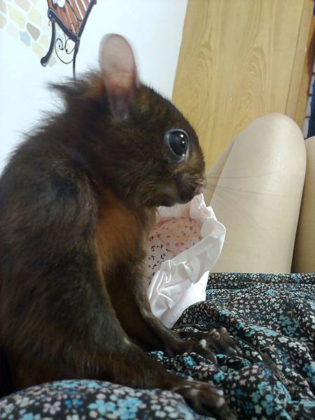 201110217225.jpg 201110217225.jpg
