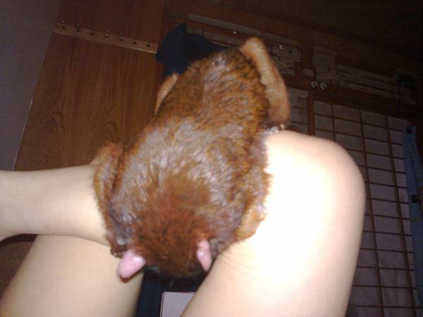 201110237239.jpg 201110237239.jpg
