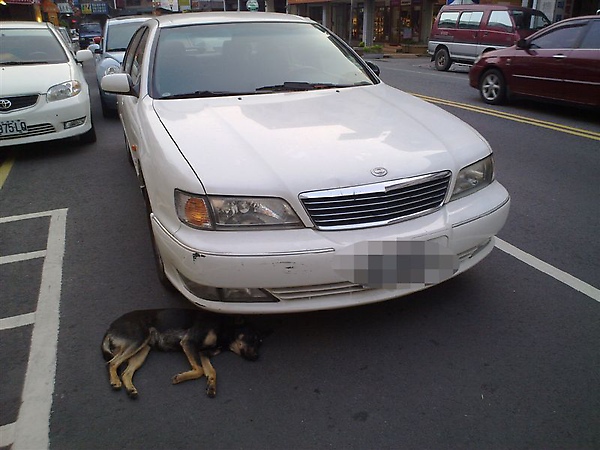 201003141448.jpg 201003141448.jpg