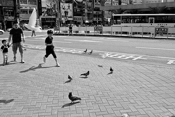 IMG_5188-1.jpg