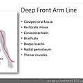 What-are-the-Myofascial-Lines-011.jpg