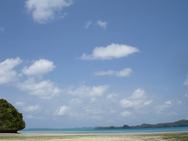 帛琉的天空.JPG
