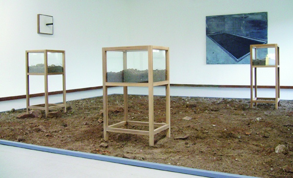 25_4-weingruell-benjamin-appel-pool-2008-wood-soil-glass-plaster-metal-120-x-400-x-400-cm-installation-view-artopie-meisenthal-france.jpg