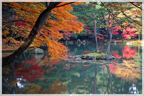 800px-KyotoAutumn