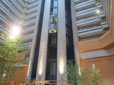 IMG_5719 IMG_5719