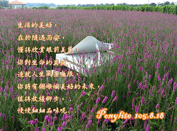 IMG_WIFE-1 IMG_WIFE-1