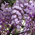 IMG_3789.jpg