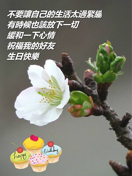 54年的生辰 54年的生辰