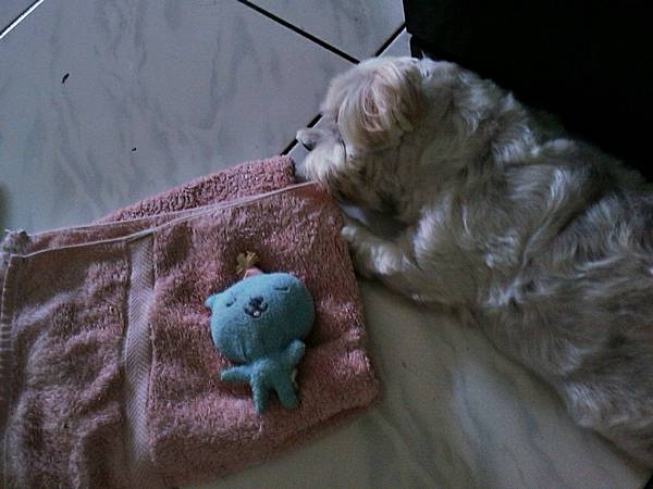 C360_2011-09-29 15-52-32.jpg