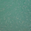 IMG_2871.jpg