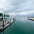 IMG_2890.jpg