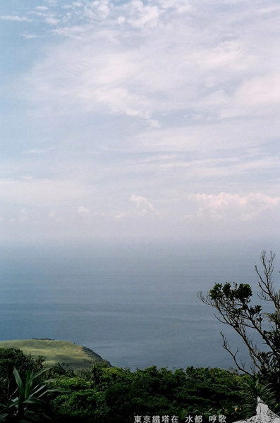 00910033.jpg