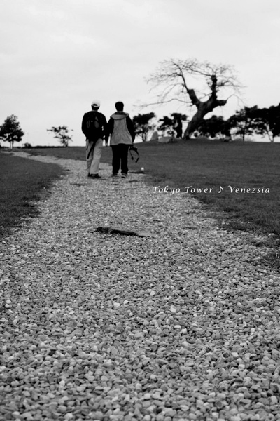 IMG_1295.jpg IMG_1295.jpg