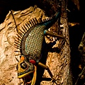 IMG_6283.jpg