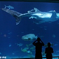 IMG_2721.jpg