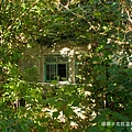 IMG_1175.jpg