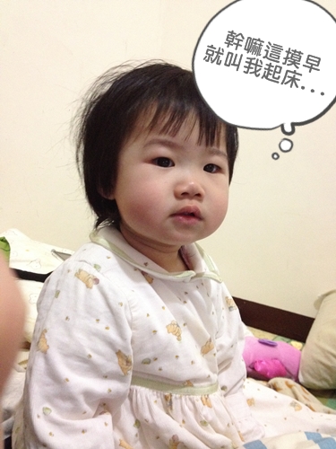 IMG_04391 IMG_04391