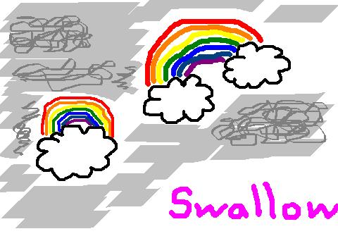 rainbows rainbows