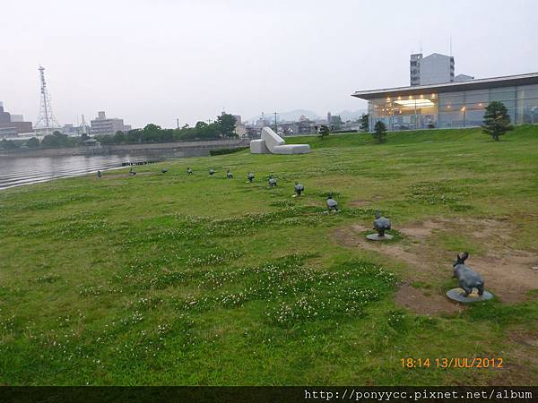 松江美術館旁的兔子們