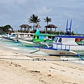 DSC_0231.jpg