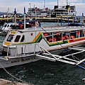 DSC_0004.jpg