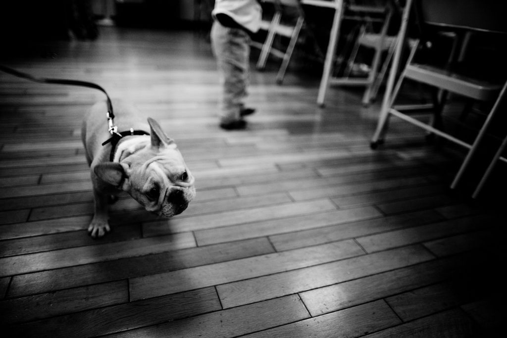 IMG_0335 IMG_0335